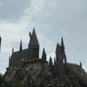 Meet your Posher, Maggie